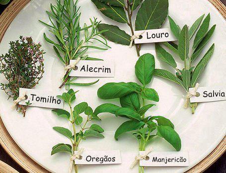 Ervas aromáticas e alguns benefícios